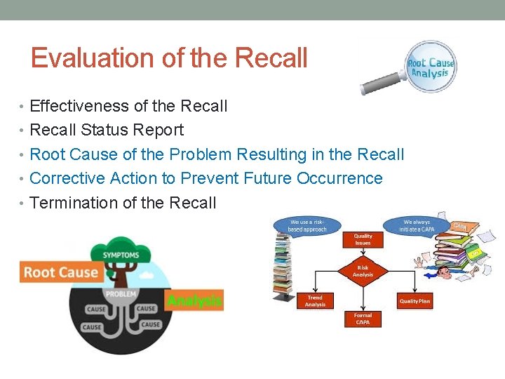 Evaluation of the Recall • Effectiveness of the Recall • Recall Status Report •