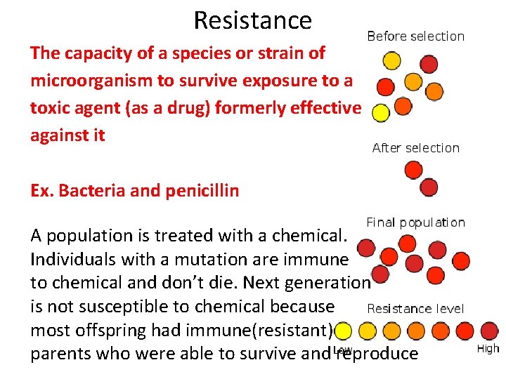 Resistance The capacity of a species or strain of microorganism to survive exposure to