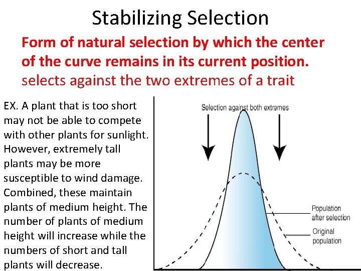 Stabilizing Selection Form of natural selection by which the center of the curve remains