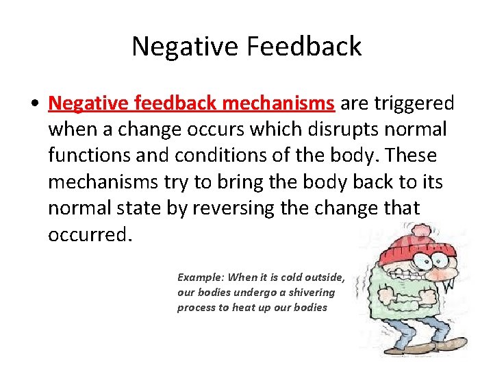Negative Feedback • Negative feedback mechanisms are triggered when a change occurs which disrupts