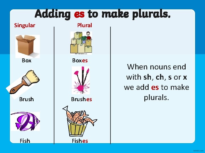 Adding es to make plurals. Singular Plural Boxes Brushes Fishes When nouns end with