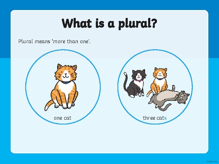 What is a plural? Plural means ‘more than one’. one cat three cats 