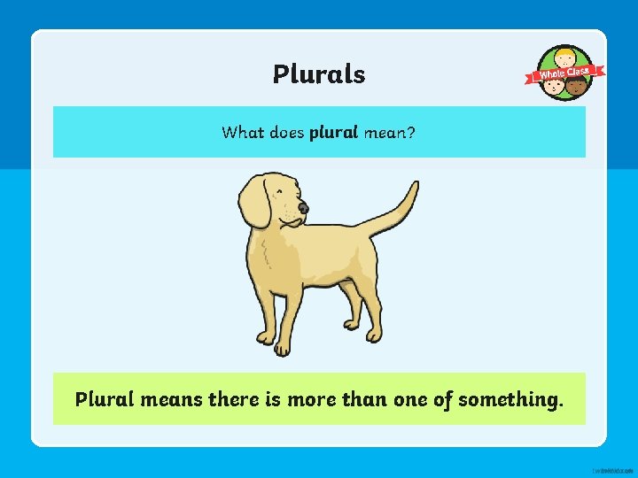 Plurals What does plural mean? Plural means there is more than one of something.