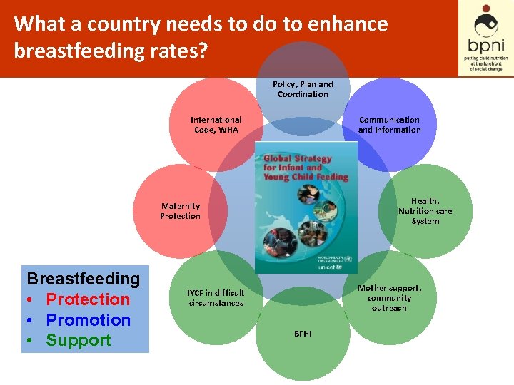 What a country needs to do to enhance breastfeeding rates? Policy, Plan and Coordination