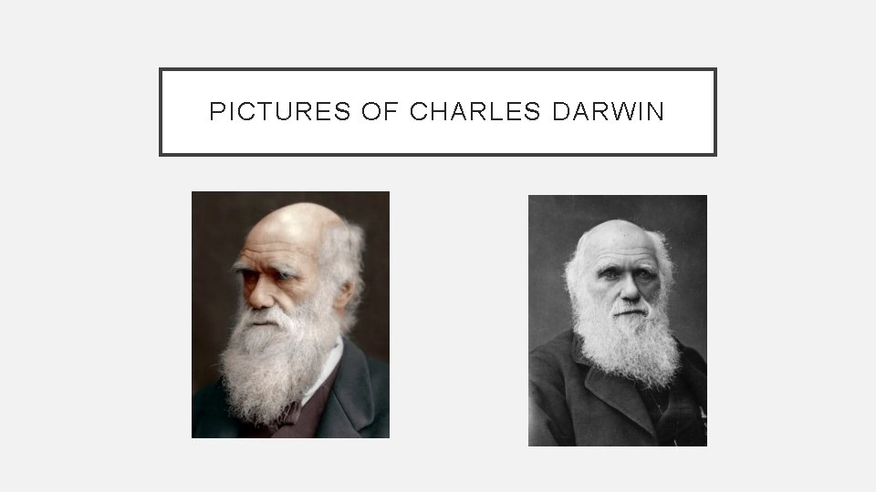 PICTURES OF CHARLES DARWIN 