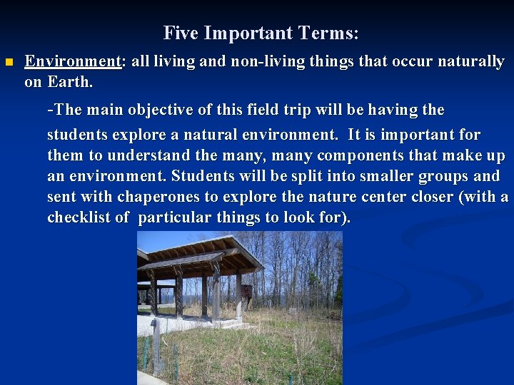 Five Important Terms: n Environment: all living and non-living things that occur naturally on