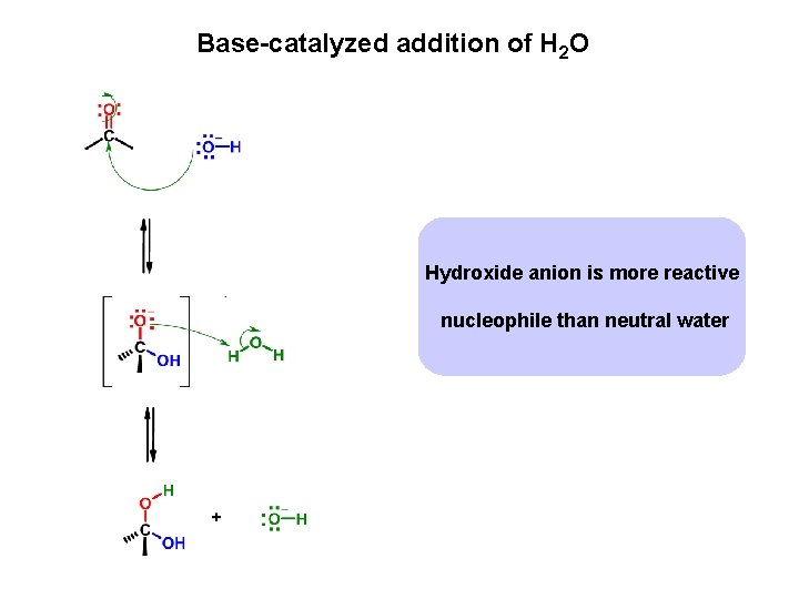Base-catalyzed addition of H 2 O Hydroxide anion is more reactive nucleophile than neutral