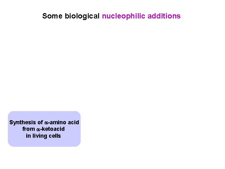 Some biological nucleophilic additions Synthesis of -amino acid from -ketoacid in living cells 