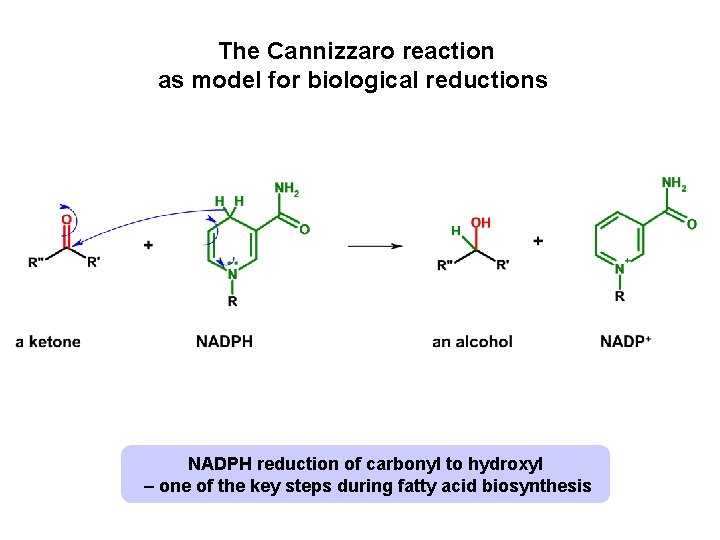The Cannizzaro reaction as model for biological reductions NADPH reduction of carbonyl to hydroxyl
