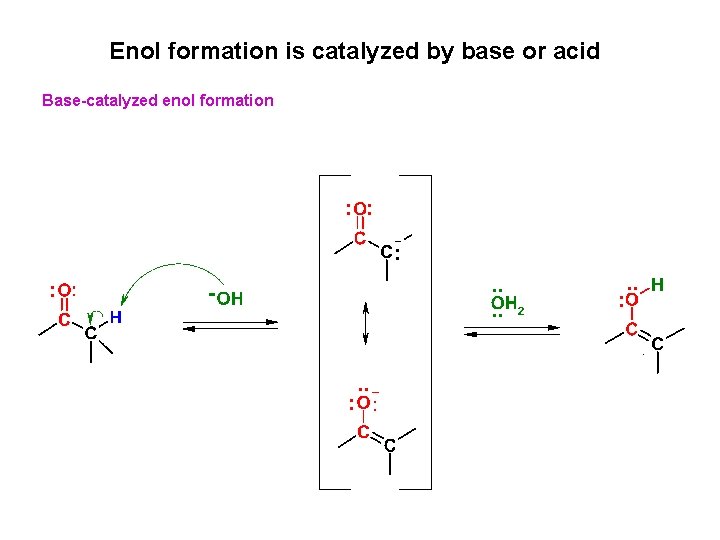 Enol formation is catalyzed by base or acid Base-catalyzed enol formation 