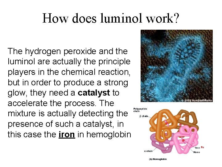 How does luminol work? The hydrogen peroxide and the luminol are actually the principle