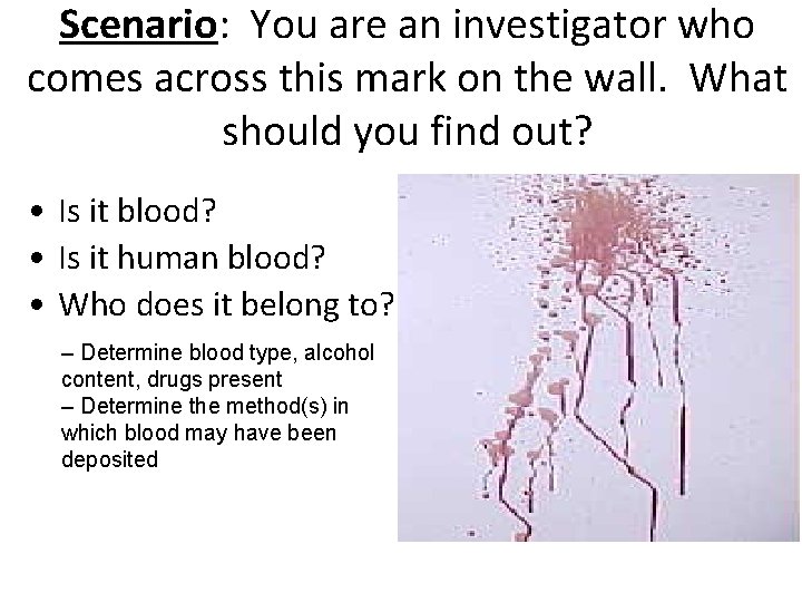 Scenario: You are an investigator who comes across this mark on the wall. What