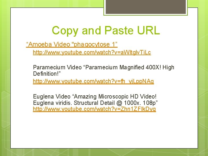 Copy and Paste URL “Amoeba Video "phagocytose 1” http: //www. youtube. com/watch? v=a. WItglv.