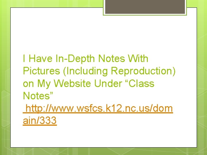 I Have In-Depth Notes With Pictures (Including Reproduction) on My Website Under “Class Notes”