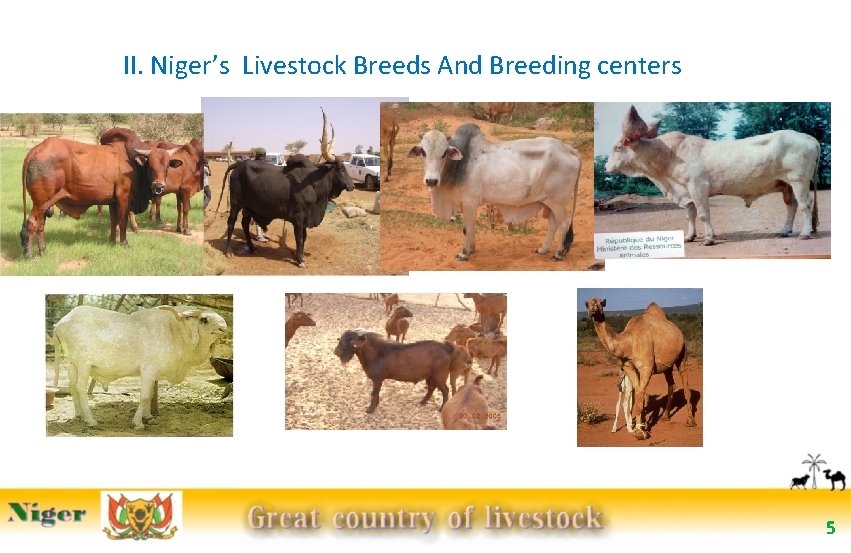 II. Niger’s Livestock Breeds And Breeding centers 5 