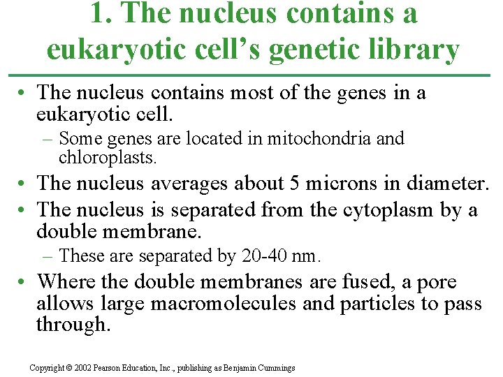 1. The nucleus contains a eukaryotic cell’s genetic library • The nucleus contains most