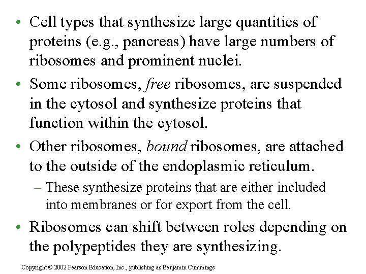  • Cell types that synthesize large quantities of proteins (e. g. , pancreas)