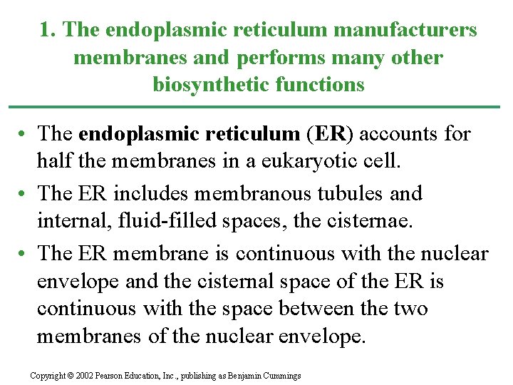 1. The endoplasmic reticulum manufacturers membranes and performs many other biosynthetic functions • The