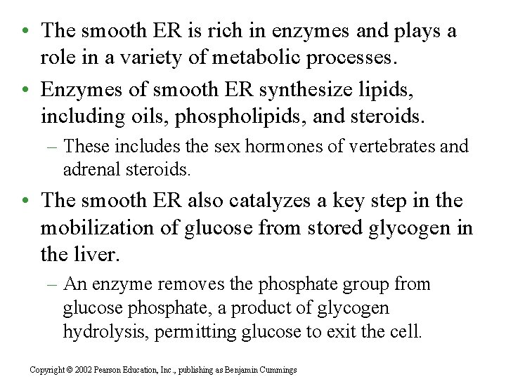 • The smooth ER is rich in enzymes and plays a role in