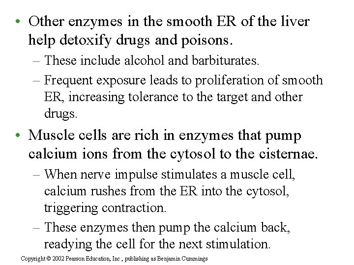  • Other enzymes in the smooth ER of the liver help detoxify drugs