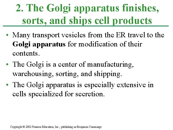 2. The Golgi apparatus finishes, sorts, and ships cell products • Many transport vesicles