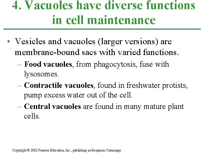 4. Vacuoles have diverse functions in cell maintenance • Vesicles and vacuoles (larger versions)