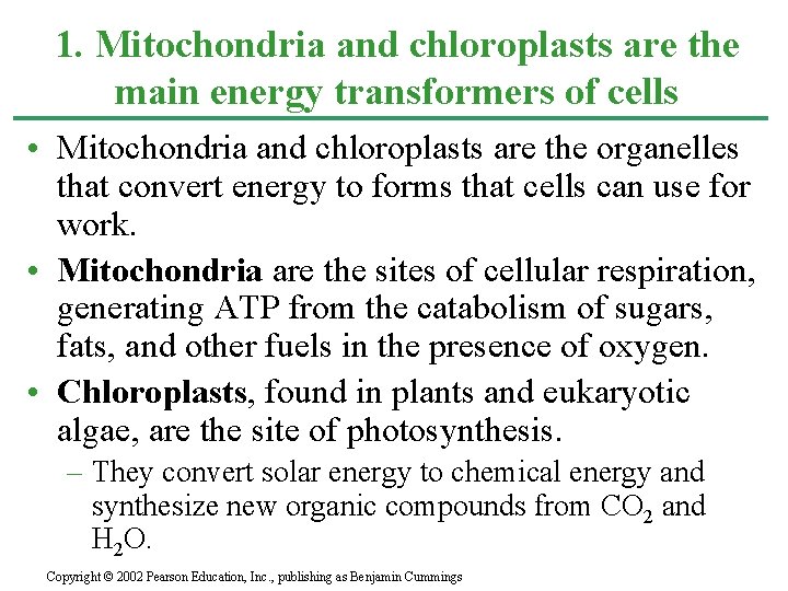 1. Mitochondria and chloroplasts are the main energy transformers of cells • Mitochondria and