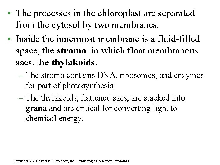  • The processes in the chloroplast are separated from the cytosol by two