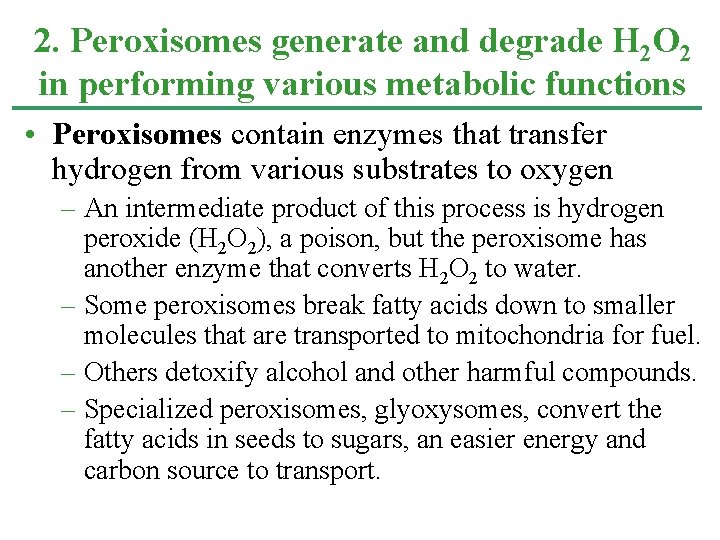 2. Peroxisomes generate and degrade H 2 O 2 in performing various metabolic functions