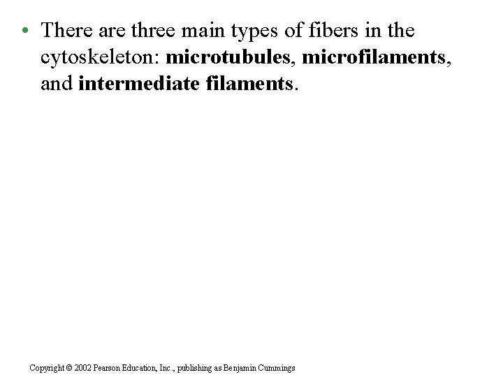 • There are three main types of fibers in the cytoskeleton: microtubules, microfilaments,
