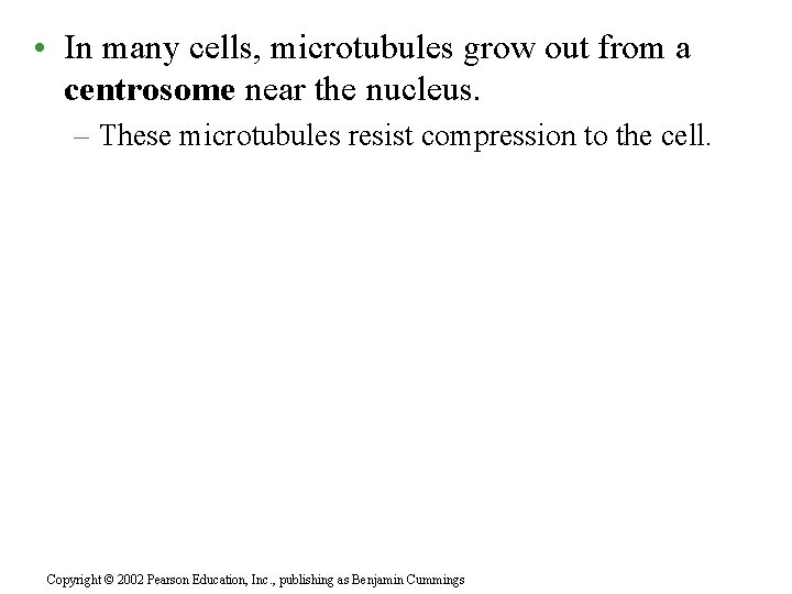  • In many cells, microtubules grow out from a centrosome near the nucleus.