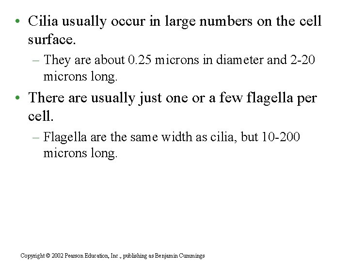  • Cilia usually occur in large numbers on the cell surface. – They