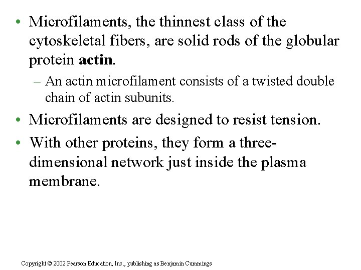  • Microfilaments, the thinnest class of the cytoskeletal fibers, are solid rods of