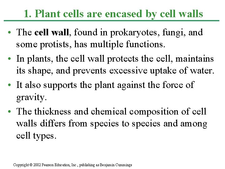 1. Plant cells are encased by cell walls • The cell wall, found in