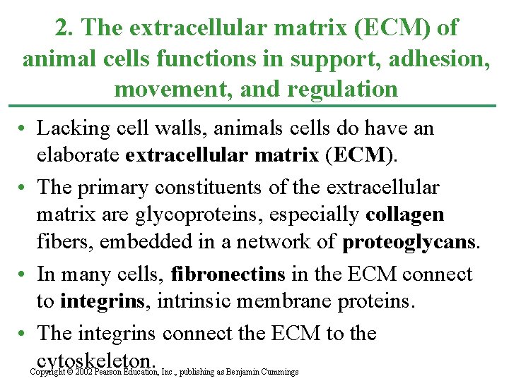 2. The extracellular matrix (ECM) of animal cells functions in support, adhesion, movement, and