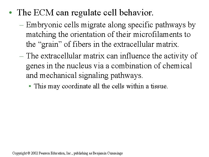  • The ECM can regulate cell behavior. – Embryonic cells migrate along specific