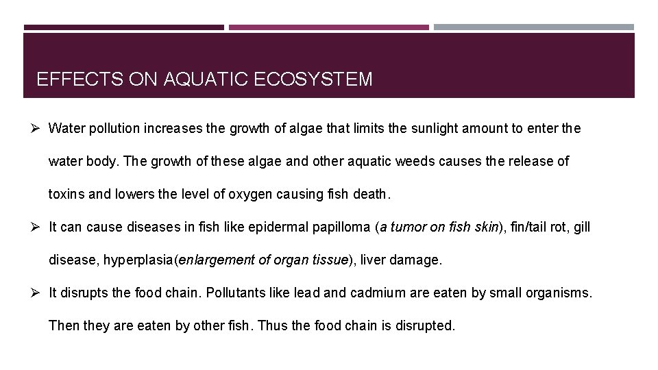 EFFECTS ON AQUATIC ECOSYSTEM Ø Water pollution increases the growth of algae that limits