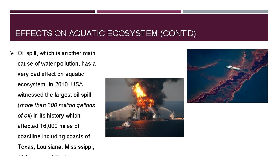 EFFECTS ON AQUATIC ECOSYSTEM (CONT’D) Ø Oil spill, which is another main cause of