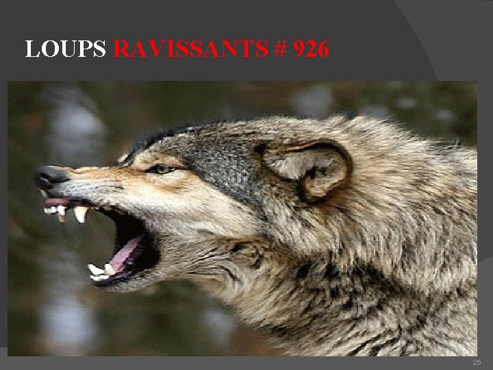 LOUPS RAVISSANTS # 926 • • 926 barus (bar-ooce') LSG - pesant, important, cruel,