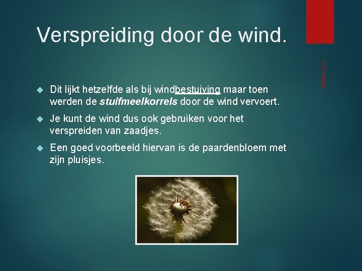 Verspreiding door de wind. Dit lijkt hetzelfde als bij windbestuiving maar toen werden de