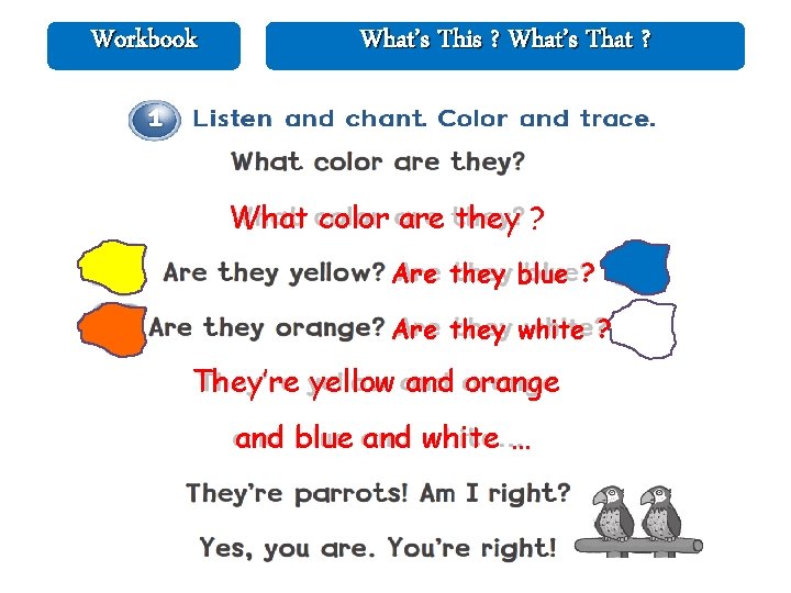 Workbook What’s This ? What’s That ? What color are they ? Are they Workbook What’s This ? What’s That ? What color are they ? Are they