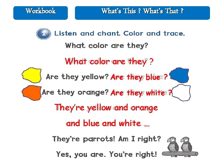 Workbook What’s This ? What’s That ? What color are they ? Are they