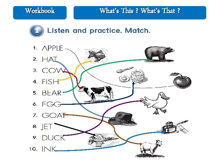 Workbook What’s This ? What’s That ? Workbook What’s This ? What’s That ?