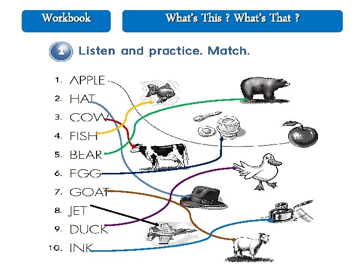 Workbook What’s This ? What’s That ? 