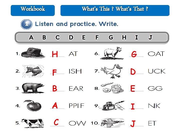 Workbook What’s This ? What’s That ? H G F D B E A Workbook What’s This ? What’s That ? H G F D B E A