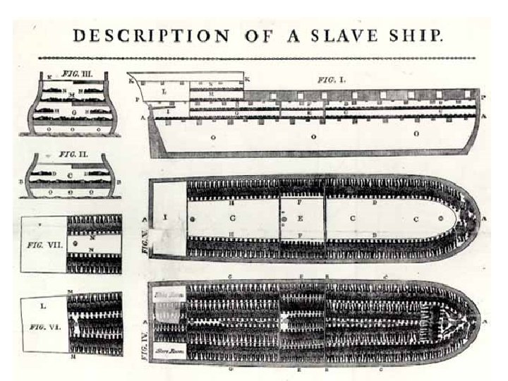 The Middle Passage • After purchase, Africans would be chained to each other and