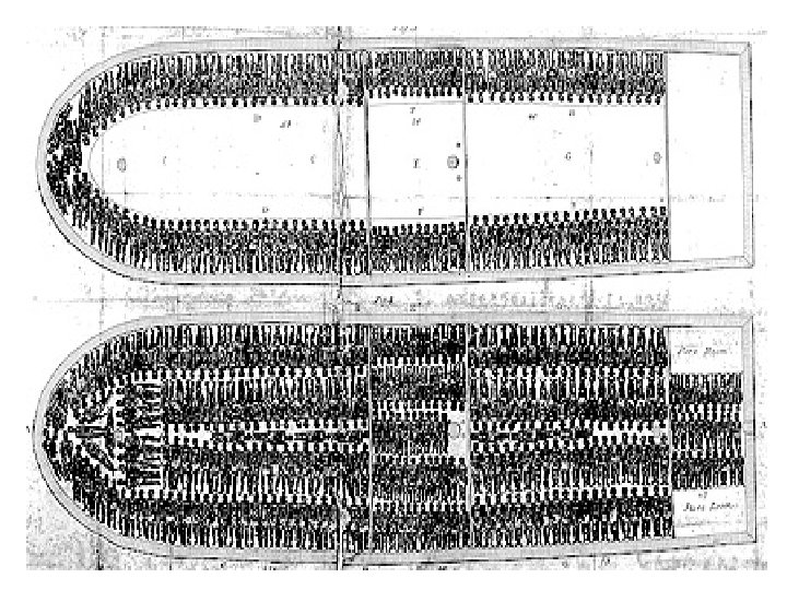 “Tight Pack” • Africans were loaded using every available space on the ship •
