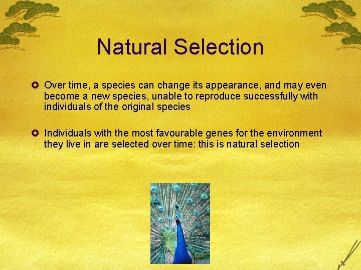 Natural Selection £ Over time, a species can change its appearance, and may even