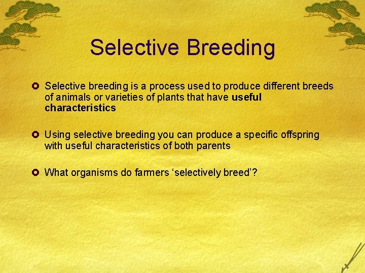 Selective Breeding £ Selective breeding is a process used to produce different breeds of