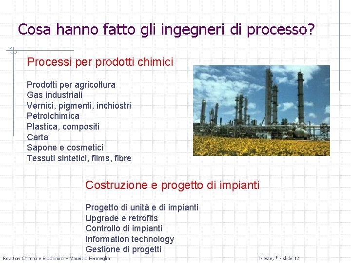 Cosa hanno fatto gli ingegneri di processo? Processi per prodotti chimici Prodotti per agricoltura
